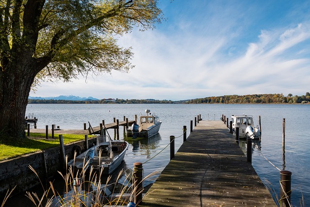 特别突出 特别突出