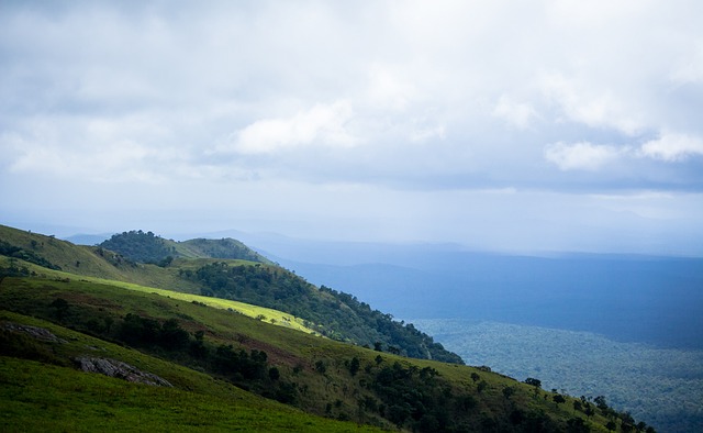 名聲大噪 名聲大噪