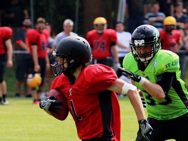 的支持与引 的支持与引