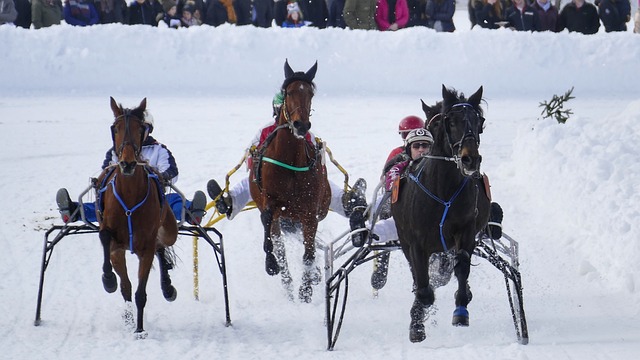 们在重大赛 们在重大赛