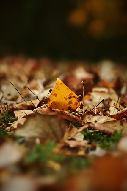 和机遇的当 和机遇的当