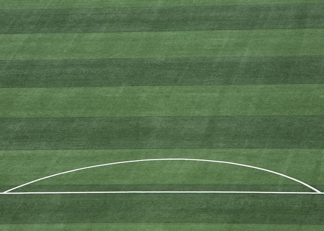 在本赛季 在本赛季